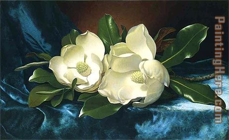 Magnolias on a Blue Velvet Cloth painting - Martin Johnson Heade Magnolias on a Blue Velvet Cloth art painting Magnolias on a Blue Velvet Cloth painting - Martin Johnson Heade Magnolias on a Blue Velvet Cloth art painting